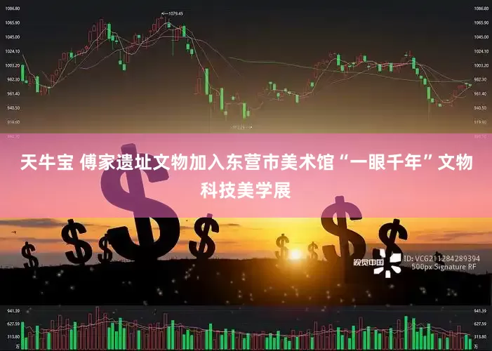天牛宝 傅家遗址文物加入东营市美术馆“一眼千年”文物科技美学展