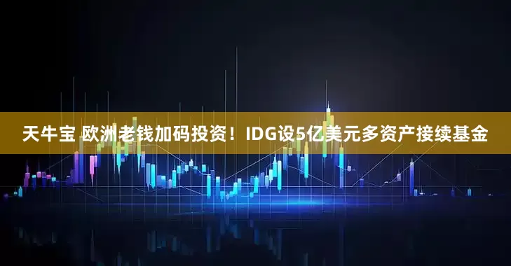 天牛宝 欧洲老钱加码投资！IDG设5亿美元多资产接续基金